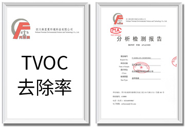 检测报告：TVOC去除率